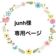 junh様専用ページ♡