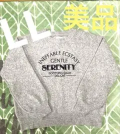 グレー プリント クルーネックセーター　LL 美品✨