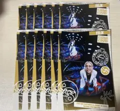 straykids KARMA フィリックス ポストカード 封入 トレカ セット