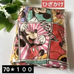 【新品未使用】ディズニー ミッキー ミニー ブランケット ひざかけ　あったか毛布