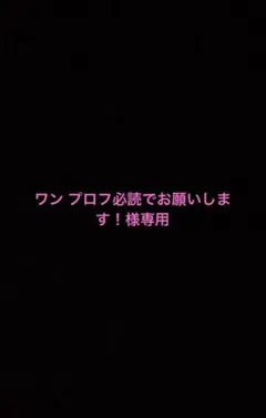 2026年最新】プロフ必読様専用の人気アイテム - メルカリ