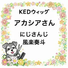 アカシアさん ウィッグオーダー 見積もり