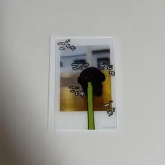 専用