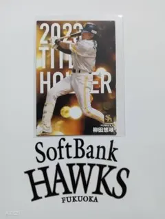 カルビー プロ野球 チップス カード 福岡ソフトバンク T-16 柳田悠岐 9