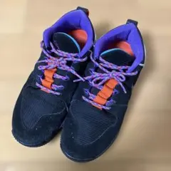 NIKE ACG DOG MOUNTAIN ナイキ ドッグマウンテン