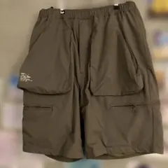 FreshService FUNCTIONAL SHORTSのサムネイル