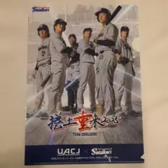 東京ヤクルトスワローズ 2025 クリアファイル