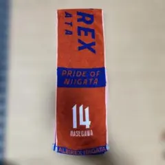 アルビレックス新潟 応援グッズ