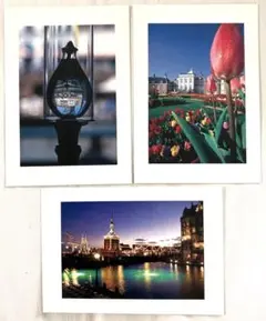 ハウステンボス　絵葉書　3枚セット　立木義浩　チューリップ　夜景のサムネイル