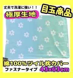 Item thumbnail for item 305bf101-13d8-4a44-82b9-8722f4f77af2