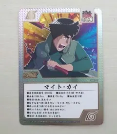 ナルト NARUTO THE GALLERY マイト ガイ 入場者特典