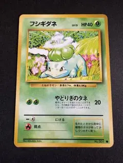 フシギダネ 旧裏 拡張シート第1弾 青版 ポケモンカード ポケモン