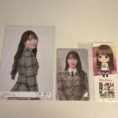 櫻坂46 守屋麗奈 コンプ まとめ売り - メルカリ