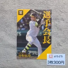 中野拓夢 プロ野球チップス 2024 第2弾 選手会長 bb7247201