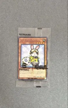 2025年最新】レスキューラビットの人気アイテム - メルカリ