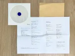 b*k様 GEZAN LOSTAGE 2曲入りレコード - メルカリ