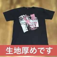 Levi's RED Tシャツ ブラック Lサイズのサムネイル