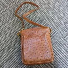 アルフレッドロー Alfred Roth ショルダーバッグ オーストリッチ R 