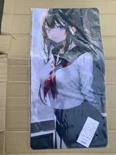 プレイマット　ラバーマット　A４マット　同人　美少女 第84弾 ブシロード ラバーマットコレクションV2 Vol.433～438 その他