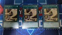 遊戯王　ペンデュラム・トレジャー　レア