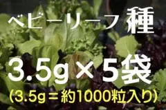 ベビーリーフの種 約3.5g×5袋 (約5000粒入り) おまけの種付き！のサムネイル