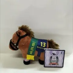 サラブレッドコレクション