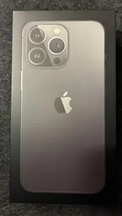 Apple iPhone 13Pro 256GB グラファイト　ジャンク品