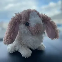 Item thumbnail for item 45751bad-2ab7-4f25-8eb7-ca96c58b7124