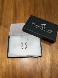 菅井友香 特典 生写真 2枚 Lucky Horseshoe ネックレス 菅井友香 ネックレス シルバー Lucky Horseshoe 生写真付 - メルカリ