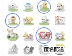 チョコサプ　ちいかわ