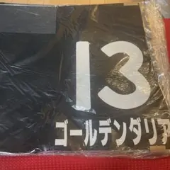 Item thumbnail for item fc2765ed-ba85-4ba1-a0aa-325889ef3108