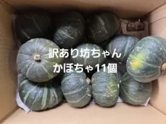 農家直送！長崎県産訳あり坊っちゃんかぼちゃ11個のサムネイル