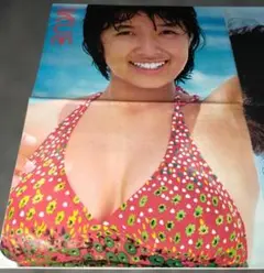 2025年最新】榊原郁恵 切り抜きの人気アイテム - メルカリ