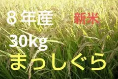 ☆新米　令和8年　 　青森県産 　まっしぐら　 玄米〈30kg〉