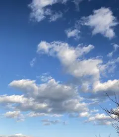 ❁⃘お知らせ❁⃘