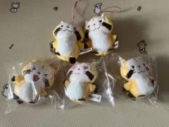 あらいぐま ラスカル ぬいぐるみ フェイスマスコット セット - メルカリ