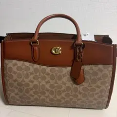 COACH BK CARRYALL