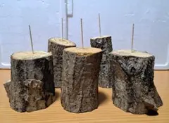 Item thumbnail for item 8d50b663-0a60-4337-a2fa-117243289b84