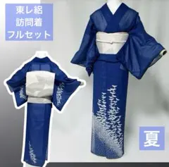 正絹絽訪問着フルセット4点 美品着物+正絹絽名古屋帯+帯締め+帯揚げ