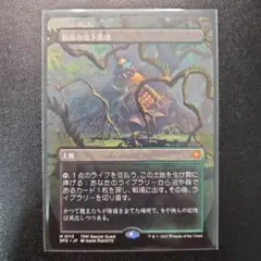 ベルセルク TCG ガーディアンの配置 BK1 112/160 パラレルレア - メルカリ