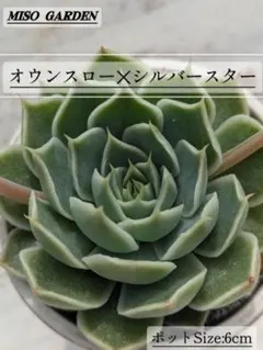 みーーこ様 リクエスト 2点 まとめ商品