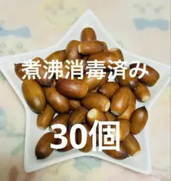 どんぐり ３０個