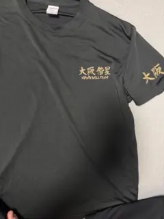 大阪偕星 ハンドボール