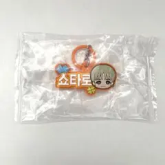 Item thumbnail for item 2270aa10-16ae-4a00-99fd-5fc3af685673