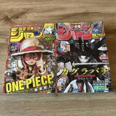 特典ワンピースカード付き 週間少年ジャンプ 2024年 45号 46号 セット
