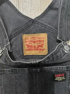 デニムオーバーオール オーバーオール