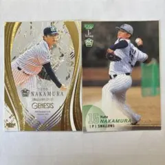 Item thumbnail for item 9c23e041-a96d-4da8-8826-fd1f08a0d858