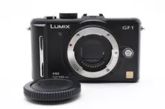 2026年最新】lumix dmc-gf1の人気アイテム - メルカリ
