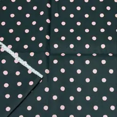 キャスキッドソン　コットンダック　生地