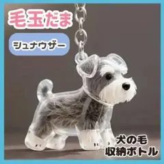 Item thumbnail for item 1741ad75-6fd8-4991-a64d-f12974708ad3